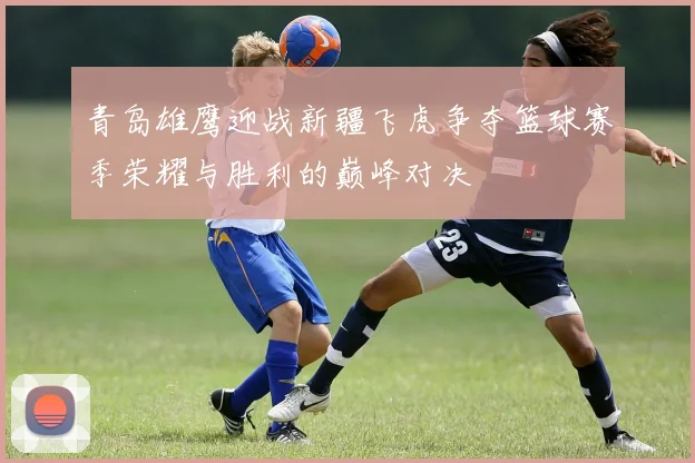 青岛雄鹰迎战新疆飞虎争夺篮球赛季荣耀与胜利的巅峰对决