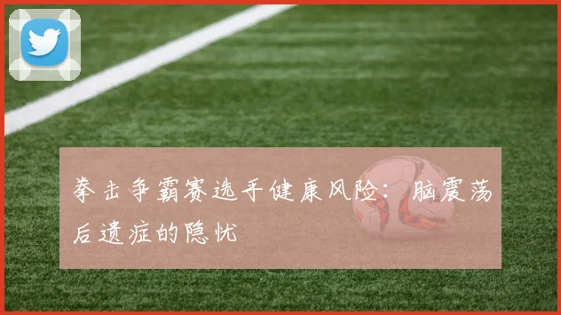 拳击争霸赛选手健康风险：脑震荡后遗症的隐忧
