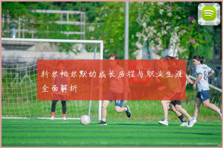 科尔帕尔默的成长历程与职业生涯全面解析