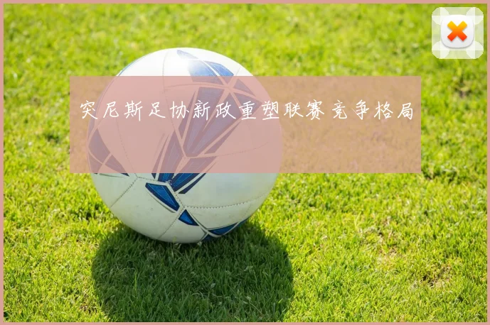 突尼斯足协新政重塑联赛竞争格局