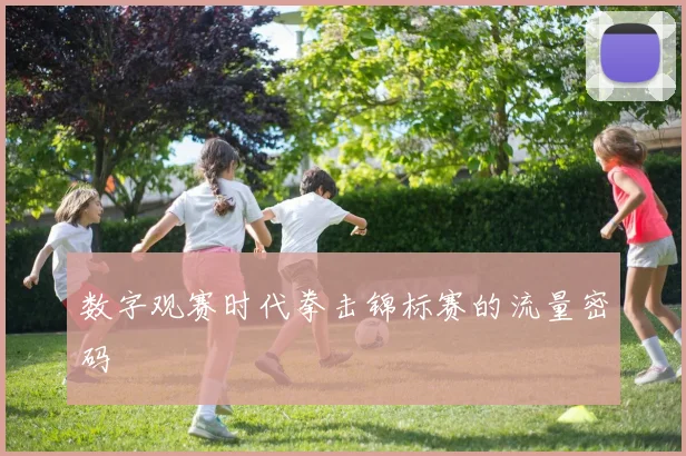 数字观赛时代拳击锦标赛的流量密码