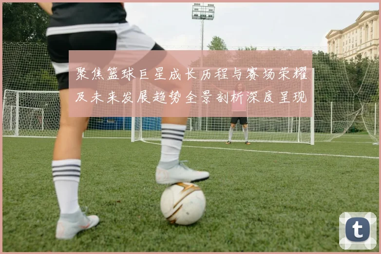 聚焦篮球巨星成长历程与赛场荣耀及未来发展趋势全景剖析深度呈现