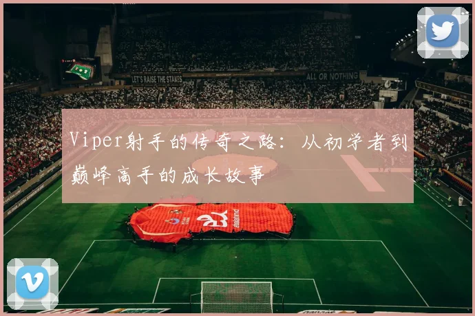 Viper射手的传奇之路：从初学者到巅峰高手的成长故事